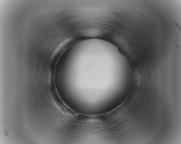 X0000102280400200808011455