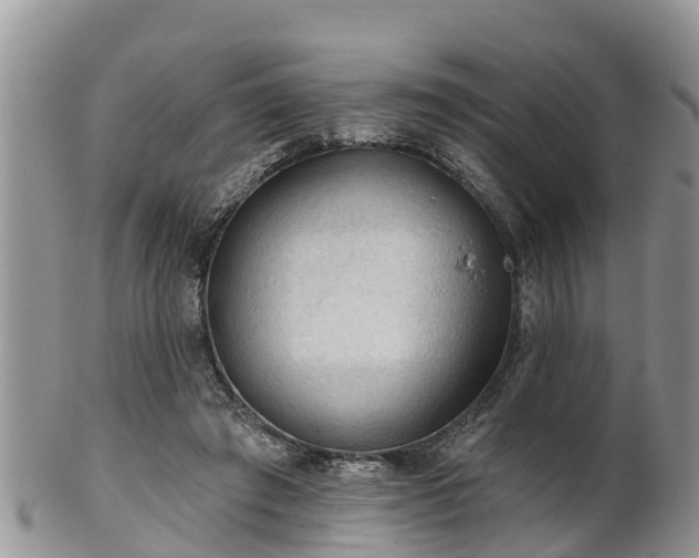 X0000102280401200808011455