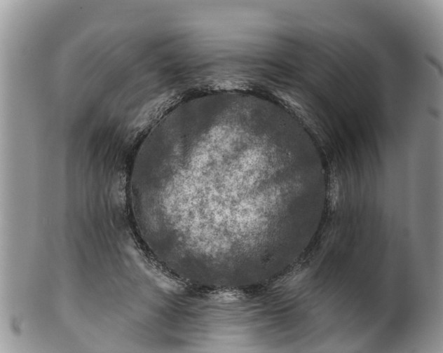 X0000102280402200808011455