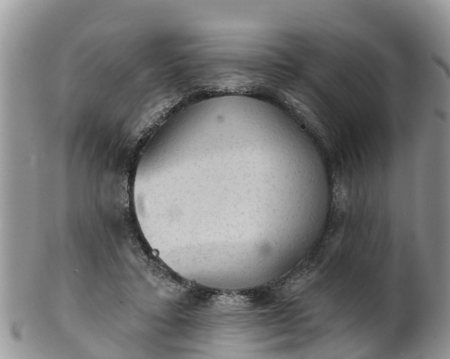 X0000102280403200808011455