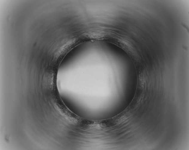 X0000102280404200808011455