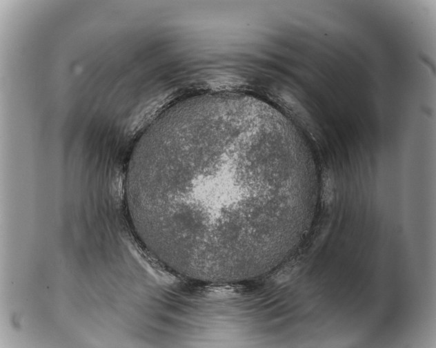 X0000102280405200808011455