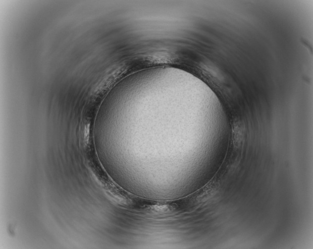 X0000102280406200808011455