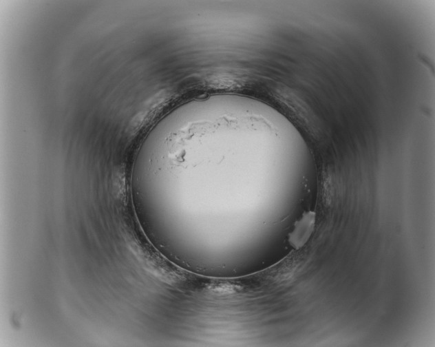 X0000102280407200808011455