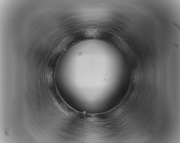 X0000102280408200808011455