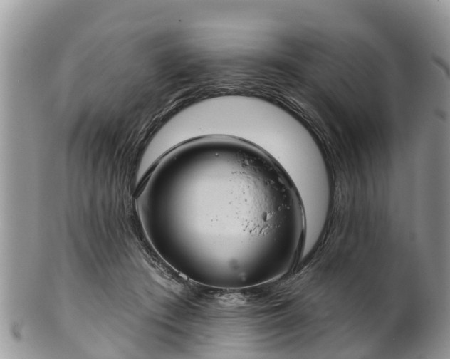 X0000102280409200808011455