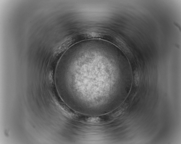 X0000102280410200808011455