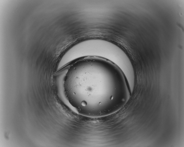 X0000102280411200808011455