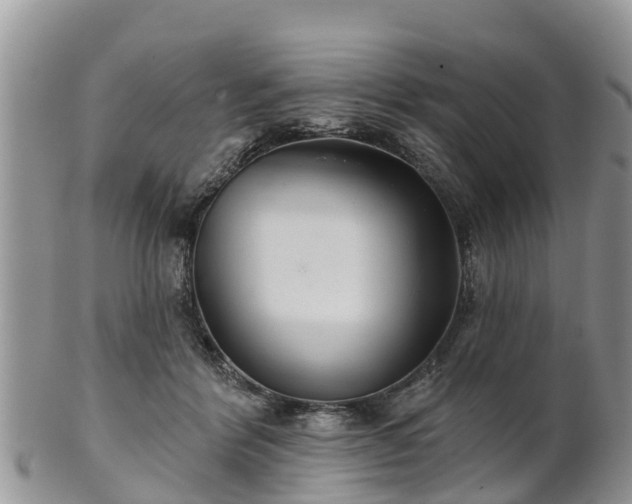 X0000102280412200808011455