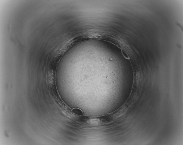 X0000102280413200808011455