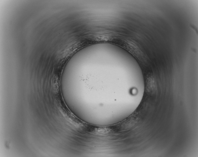 X0000102280414200808011455