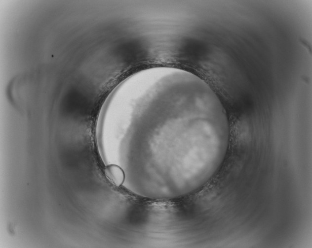 X0000102280415200808011455