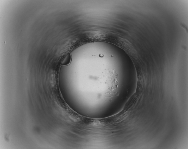 X0000102280416200808011455