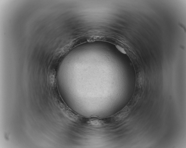 X0000102280417200808011455