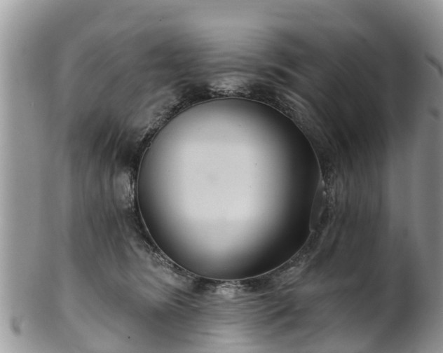 X0000102280420200808011455