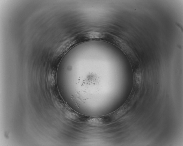 X0000102280422200808011455