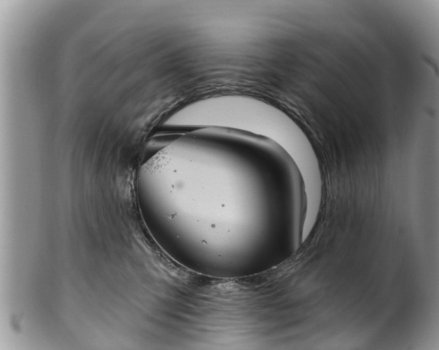 X0000102280423200808011455