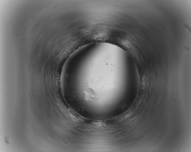 X0000102280424200808011454