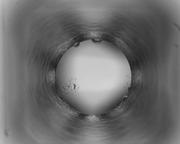 X0000102280425200808011454