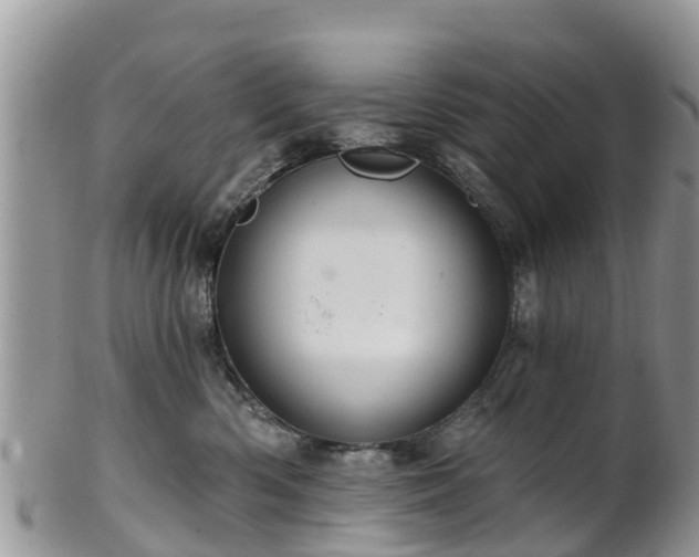 X0000102280426200808011454