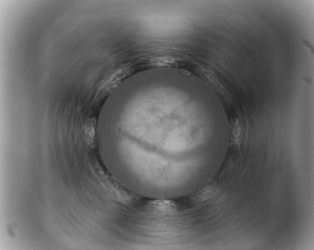 X0000102280427200808011454