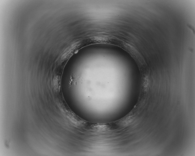 X0000102280428200808011454