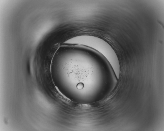 X0000102280429200808011454