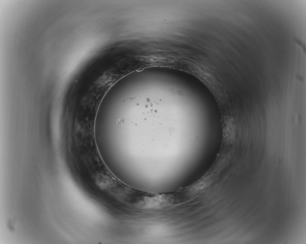 X0000102280430200808011454