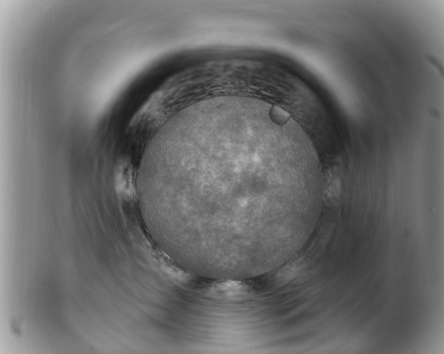 X0000102280431200808011454