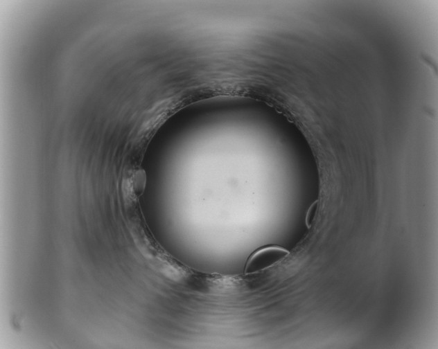 X0000102280432200808011454