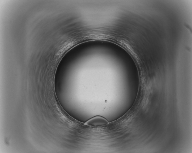 X0000102280433200808011454