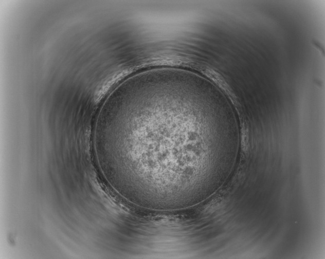 X0000102280434200808011454