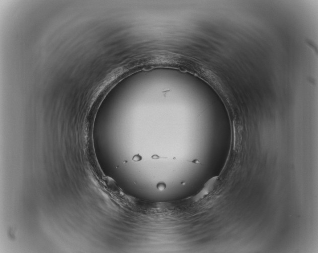 X0000102280435200808011454