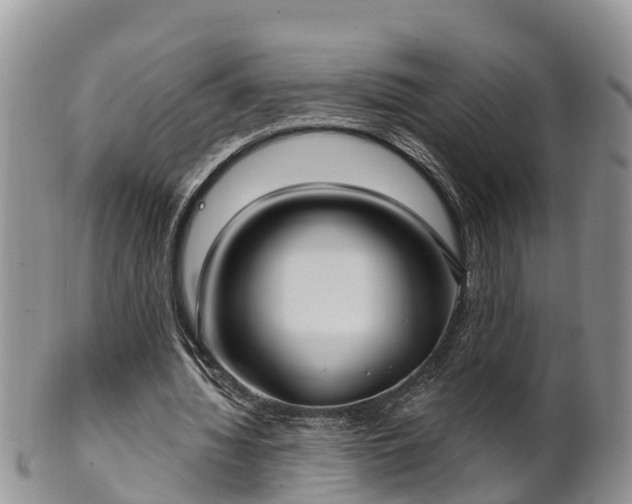 X0000102280436200808011454