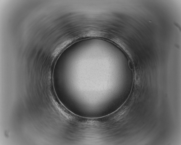 X0000102280437200808011454