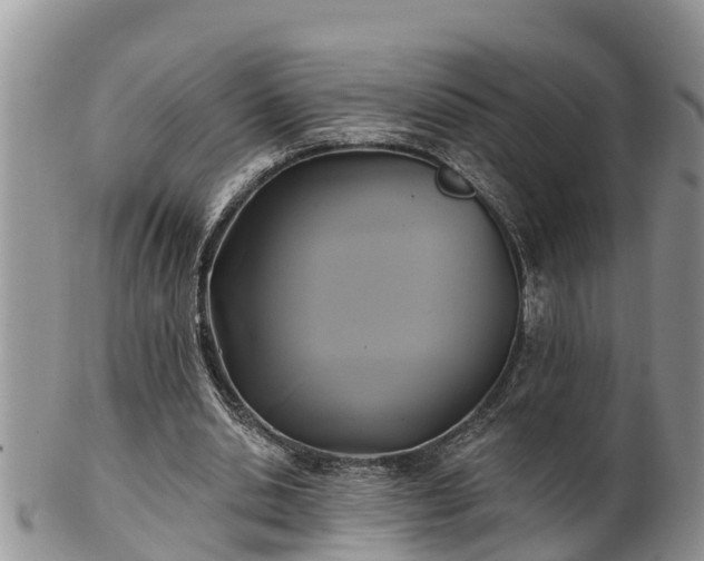 X0000102280438200808011454