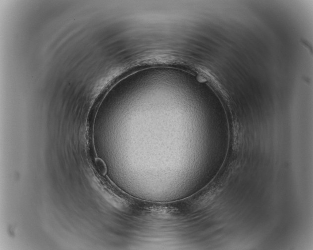 X0000102280439200808011454