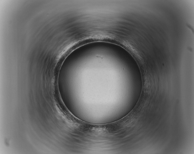 X0000102280440200808011454