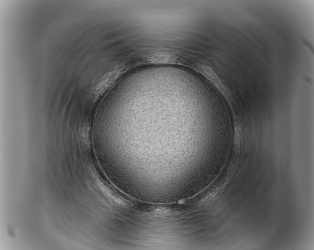 X0000102280441200808011454