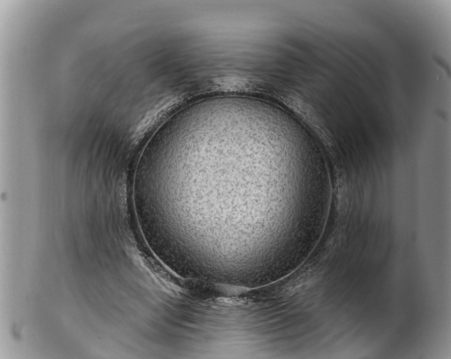 X0000102280442200808011454