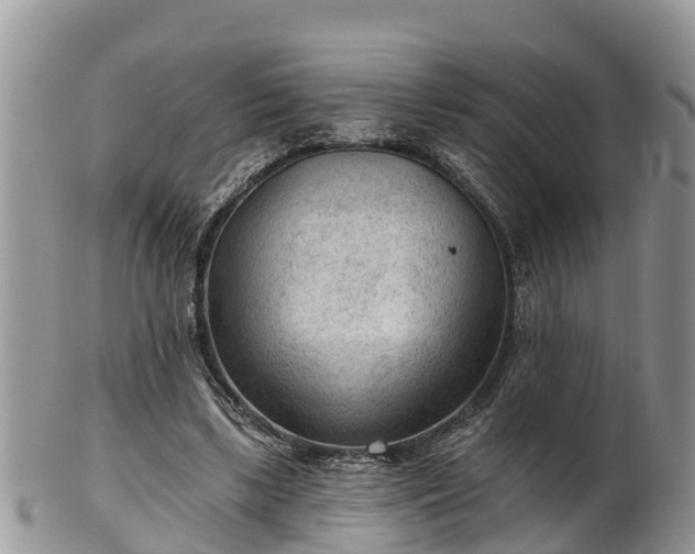 X0000102280443200808011454