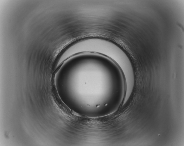 X0000102280444200808011454