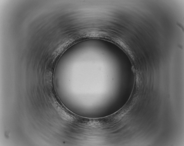 X0000102280445200808011454