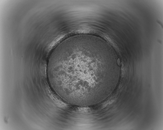 X0000102280446200808011454