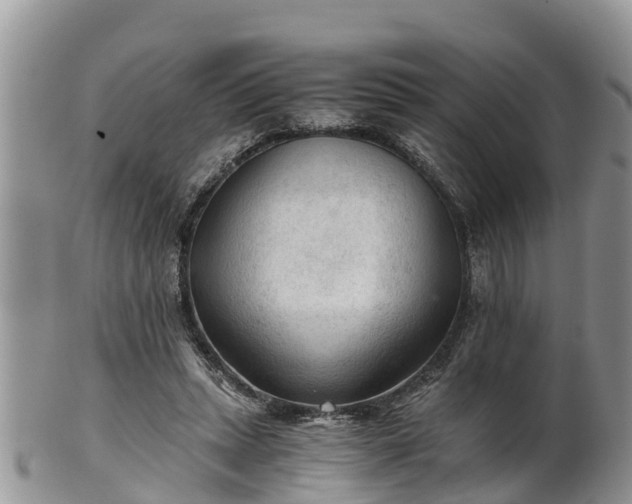 X0000102280447200808011454