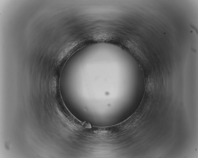 X0000102280448200808011454