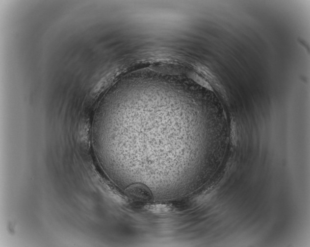 X0000102280449200808011454