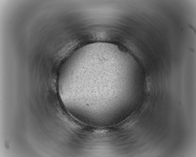 X0000102280450200808011454