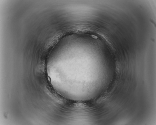 X0000102280451200808011454