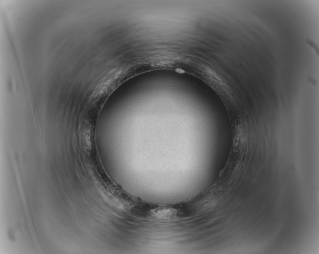 X0000102280452200808011454